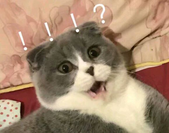 逗比GIF微信斗图表情包