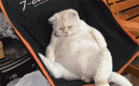 逗比GIF微信斗图表情包