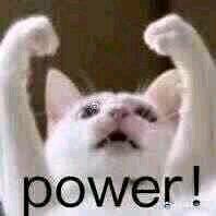 是我不配微信恶搞傻屌斗图表情包