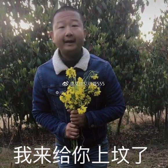 是我不配微信恶搞傻屌斗图表情包