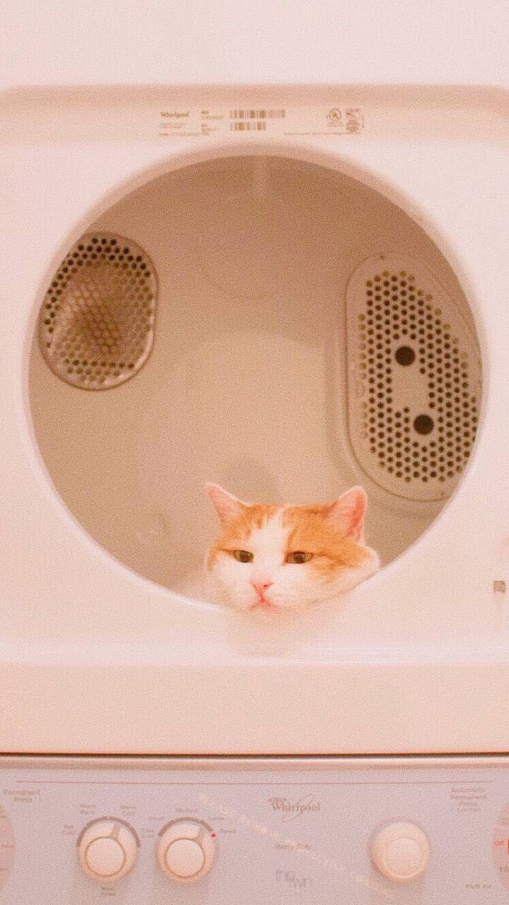 小清新梦幻好看手机壁纸