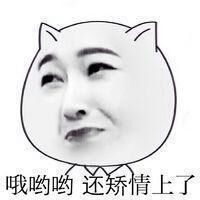 微信爆笑恶搞金馆长我说什么都对表情包合集下载