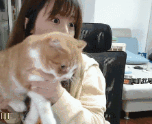 微信搞怪GIF傻屌斗图表情包