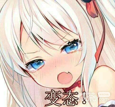 微信逗比搞怪傻屌杂图表情包