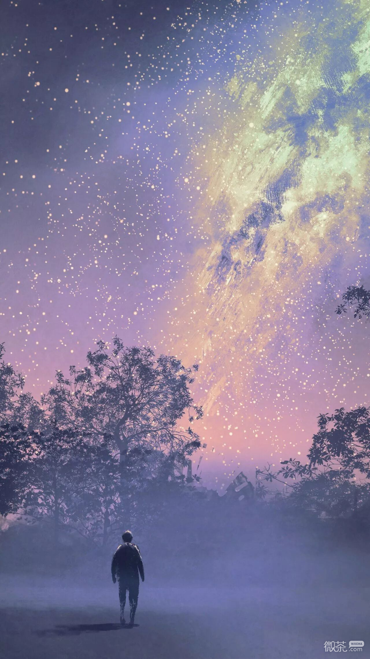 小清新风景静物手机壁纸