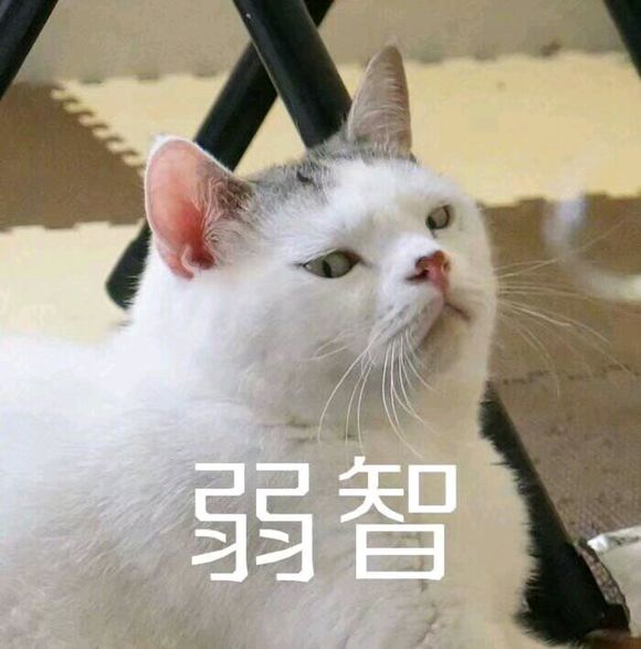 逗比GIF微信斗图表情包