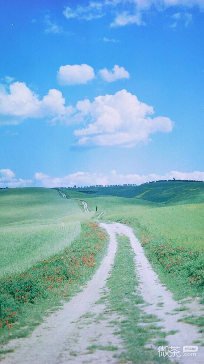 梦幻唯美风景手机壁纸