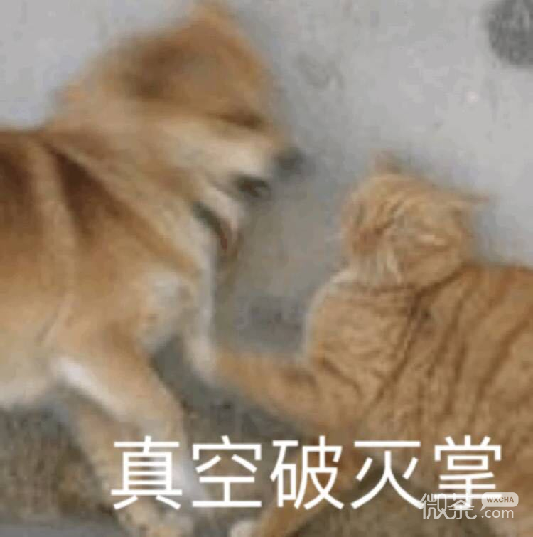 幽默恶搞群聊斗图微信表情包