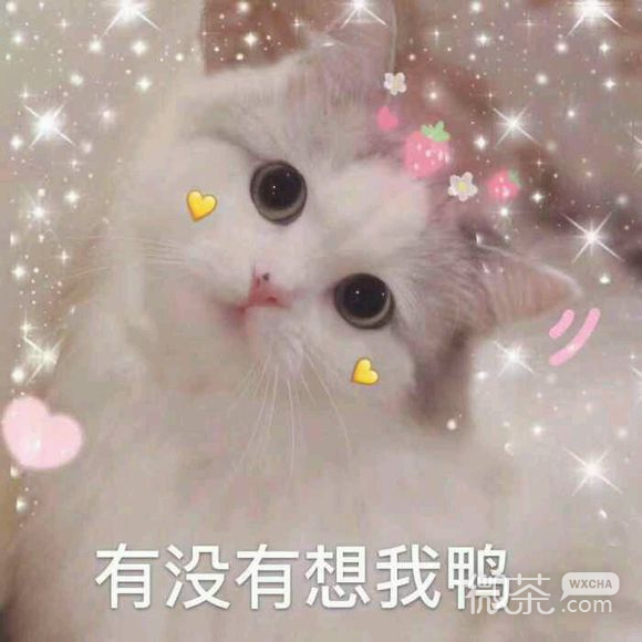 抱我微信恶搞傻屌斗图群表情包