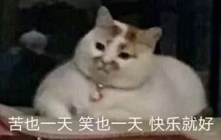 恶搞逗比群聊杂图微信表情包