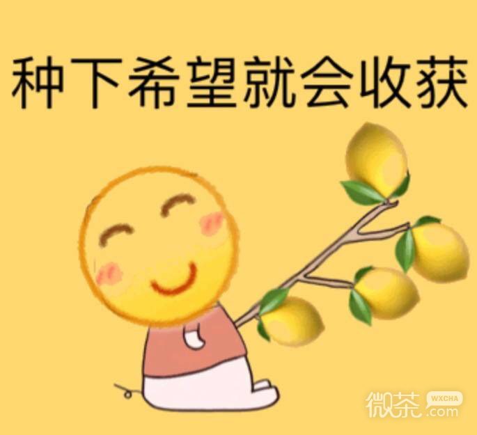 幽默恶搞群聊斗图微信表情包