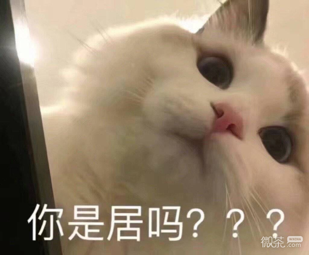 恶搞逗比群聊杂图微信表情包