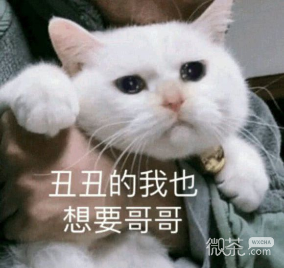抱我微信恶搞傻屌斗图群表情包