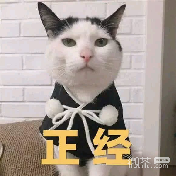 抱我微信恶搞傻屌斗图群表情包