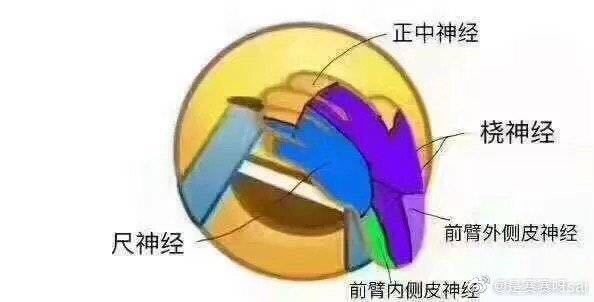 恶搞逗比群聊杂图微信表情包