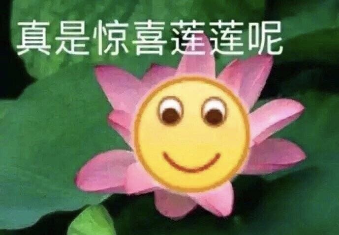 恶搞逗比群聊杂图微信表情包