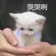 自闭了微信搞怪逗比斗图表情包