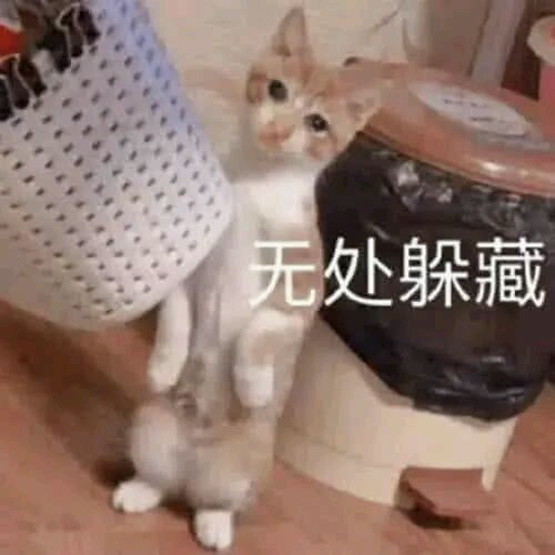 自闭了微信搞怪逗比斗图表情包