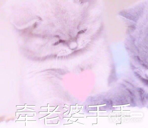 恶搞逗比群聊杂图微信表情包