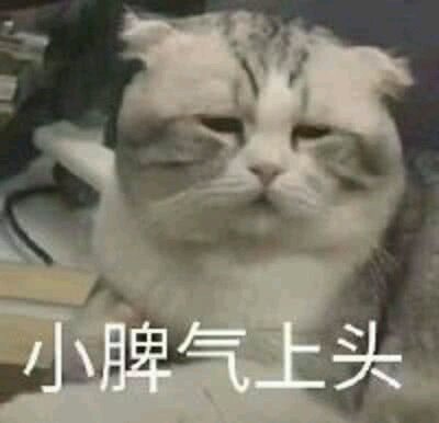 抱我微信恶搞傻屌斗图群表情包