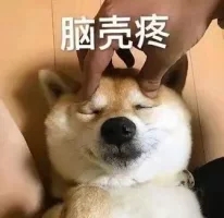 恶搞逗比群聊杂图微信表情包