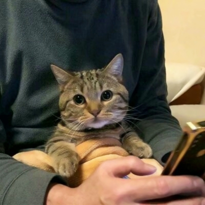 2019微信最新男生玩网专用非主流头像下载