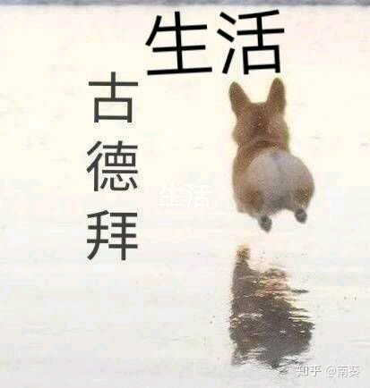 微信杂图斗图表情包