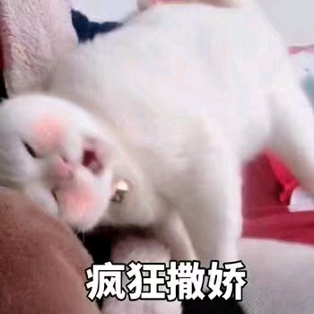 伤心微信恶搞傻屌斗图表情包