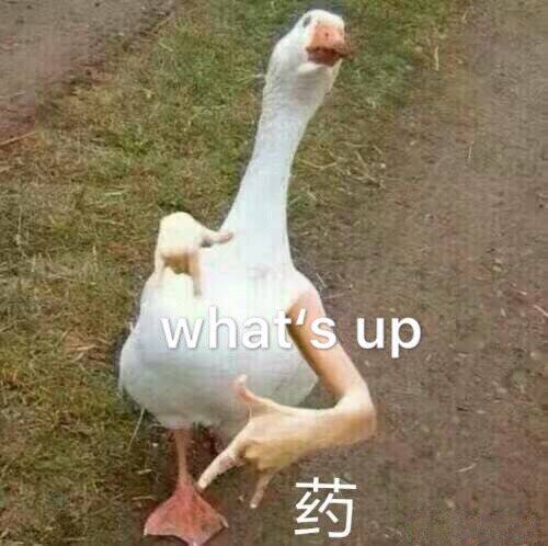 伤心微信恶搞傻屌斗图表情包