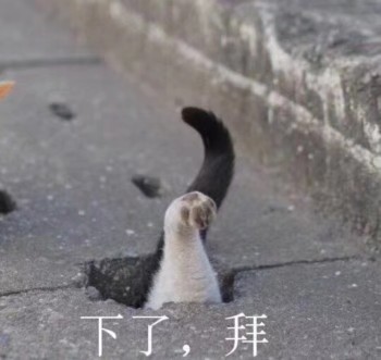 微信杂图斗图表情包