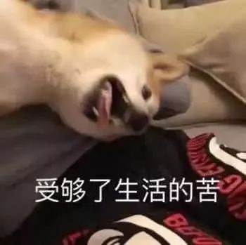 搞怪微信杂图斗图表情包