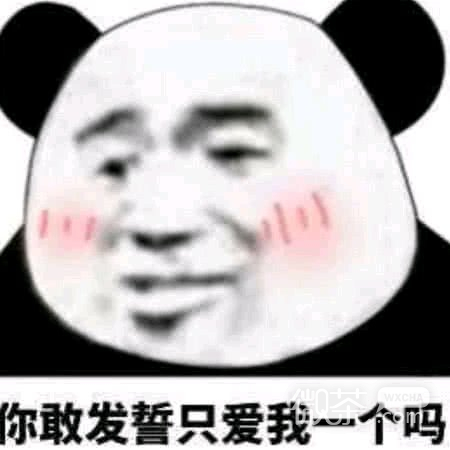 微信可爱杂图斗图表情包