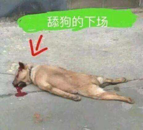 逗比杂图斗图表情包