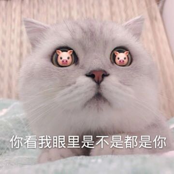 搞怪微信杂图斗图表情包