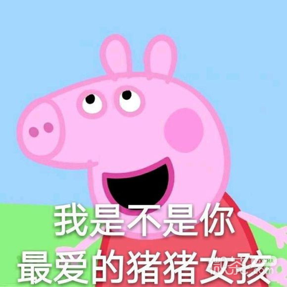 搞怪微信杂图斗图表情包