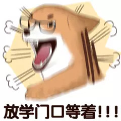 微信搞怪傻屌杂图斗图表情包