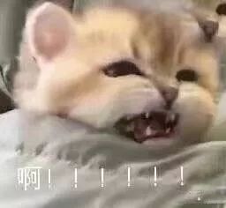 搞怪微信杂图斗图表情包