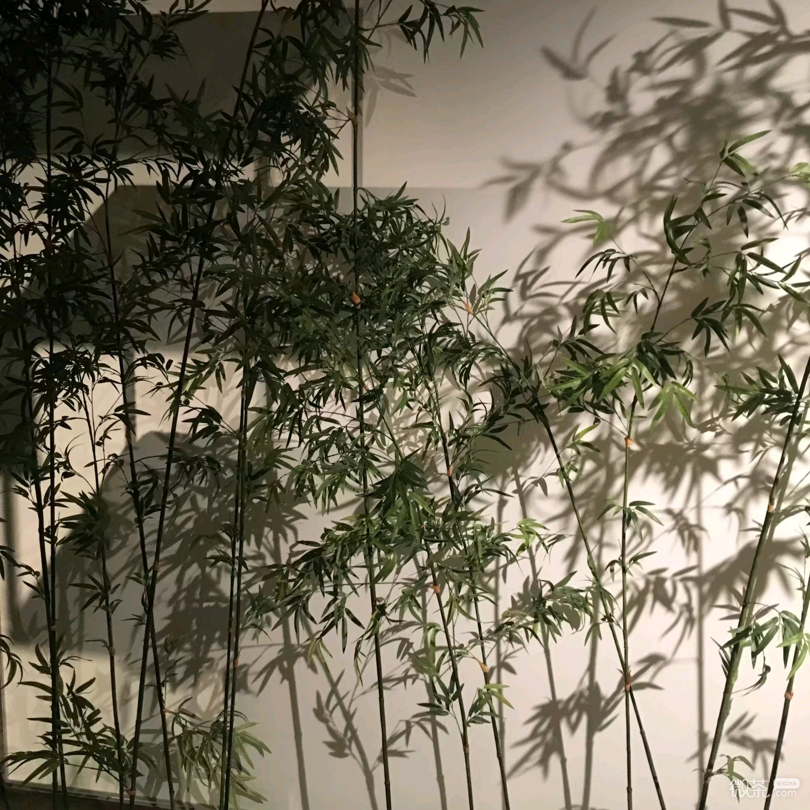 微信唯美日落朋友圈配图
