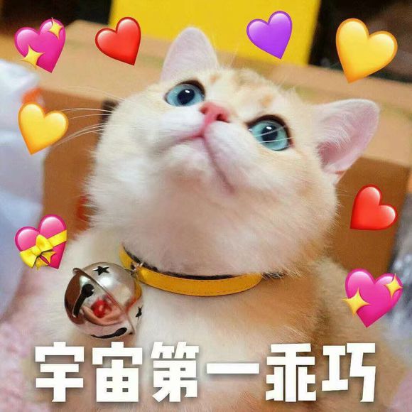 群聊可爱杂图斗图表情包