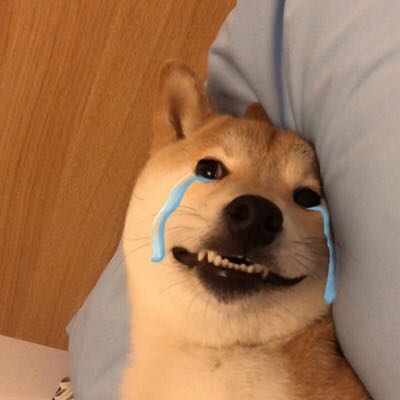 群聊可爱杂图斗图表情包