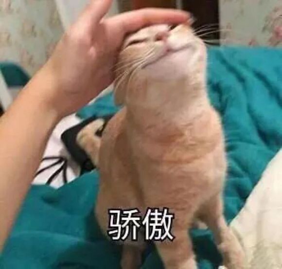 群聊可爱杂图斗图表情包