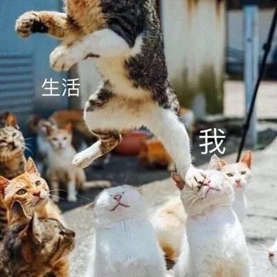 搞怪微信杂图斗图表情包