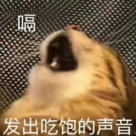 群聊可爱杂图斗图表情包