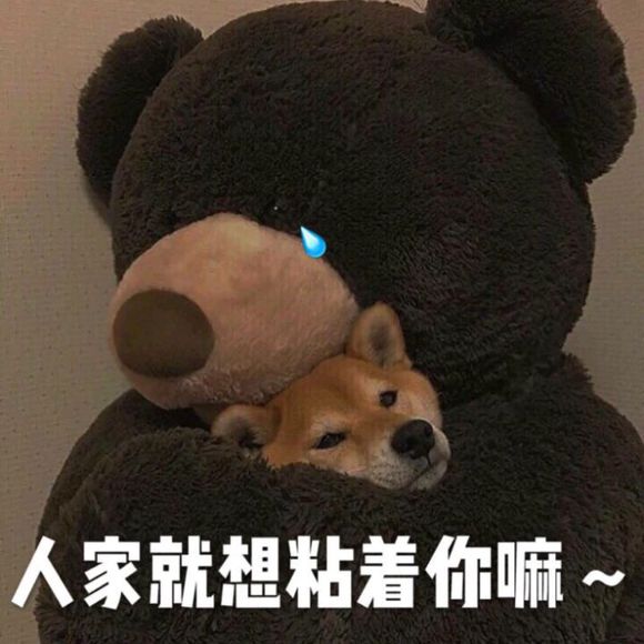 群聊可爱杂图斗图表情包