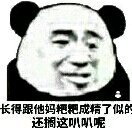 反目成仇微信恶搞傻屌熊猫头斗图表情包