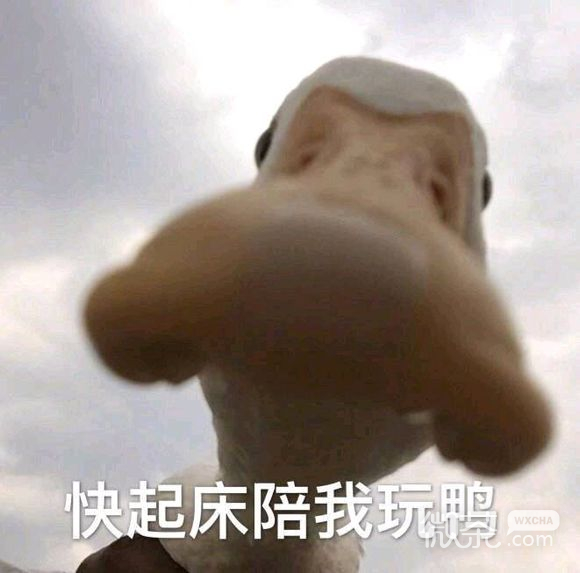 搞怪群聊斗图微信逗比表情包