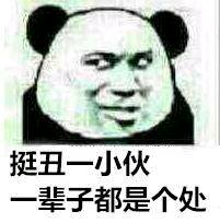 微信搞怪熊猫头群聊杂图斗图表情包