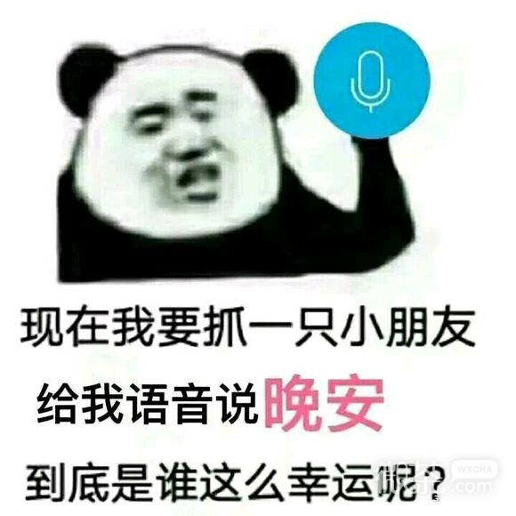 微信逗比群聊斗图熊猫头表情包