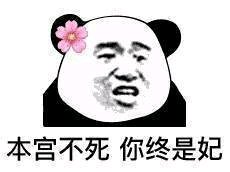 微信逗比群聊斗图熊猫头表情包