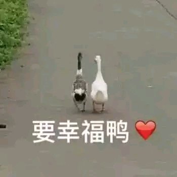 微信搞怪群聊斗图表情包
